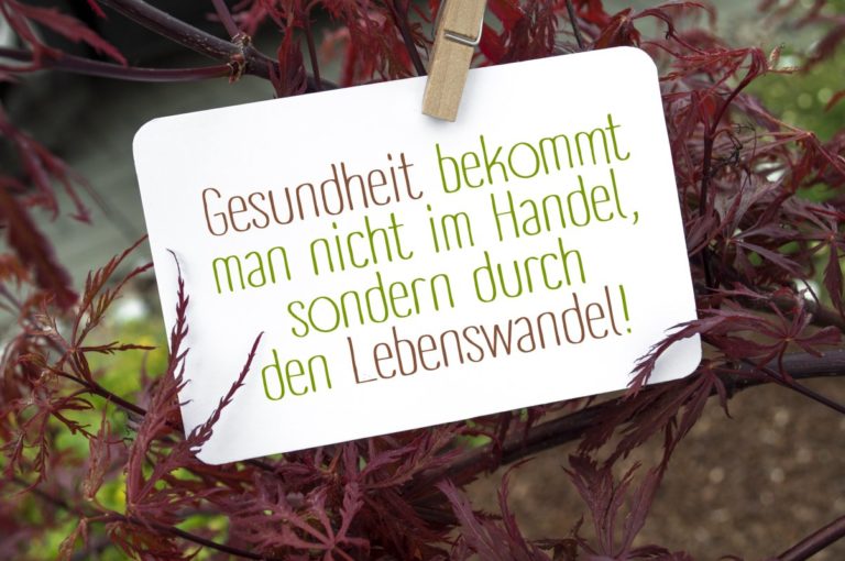 Detox Penzberg 82377 Saneum Holtschke