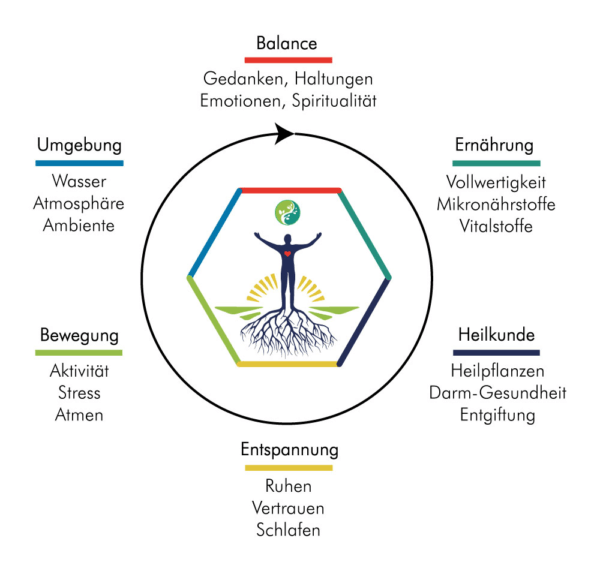 Funktionelle Medizin